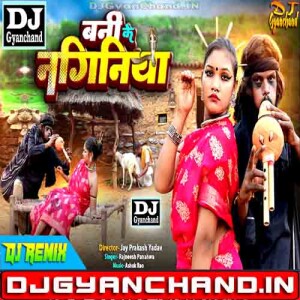 Bani Ke Naginiya Chitharu Chitharuwain Ka Naya Bhojpuri Song Mp3 Download ( Hard Vibration Bass Mix ) Dj Gyanchand